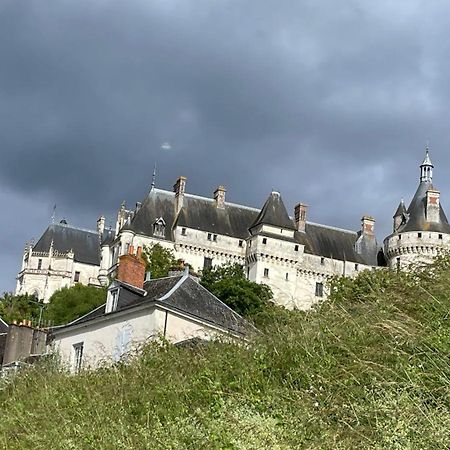 L'Orme Seul, Maison D'Hotes Vineuil  Zewnętrze zdjęcie