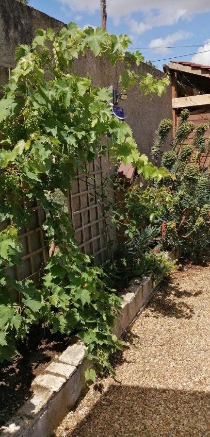 L'Orme Seul, Maison D'Hotes Vineuil  Zewnętrze zdjęcie