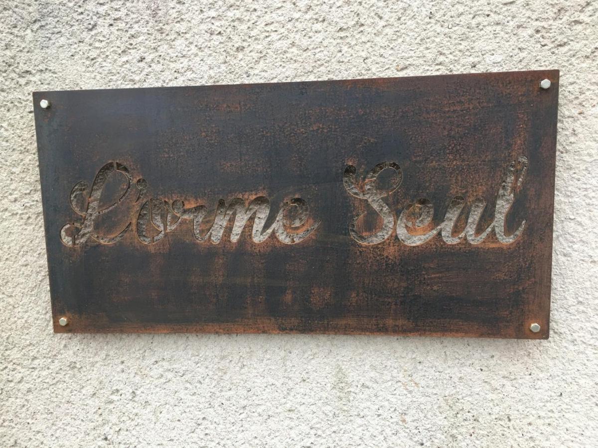 L'Orme Seul, Maison D'Hotes Vineuil  Zewnętrze zdjęcie