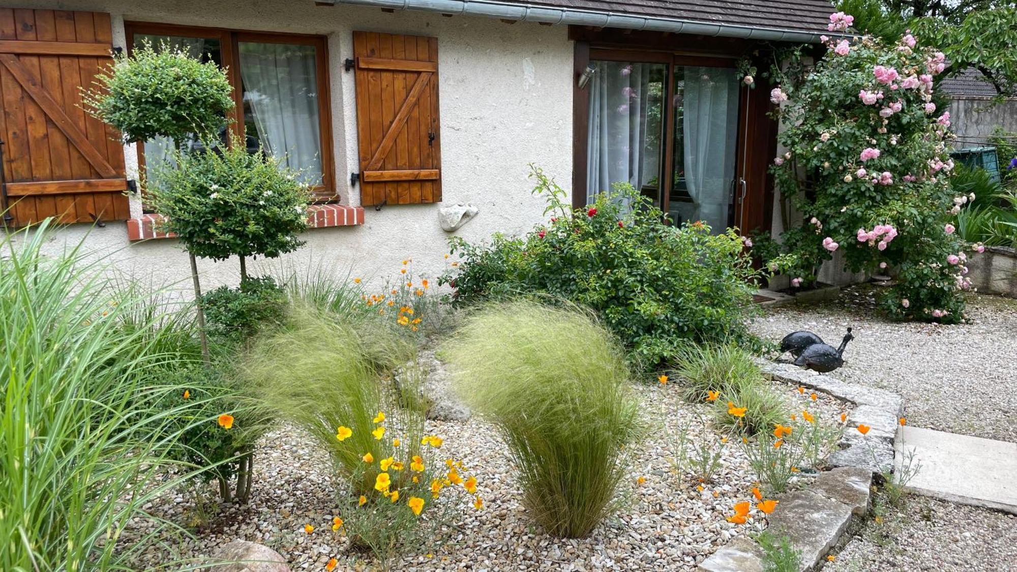 L'Orme Seul, Maison D'Hotes Vineuil  Zewnętrze zdjęcie